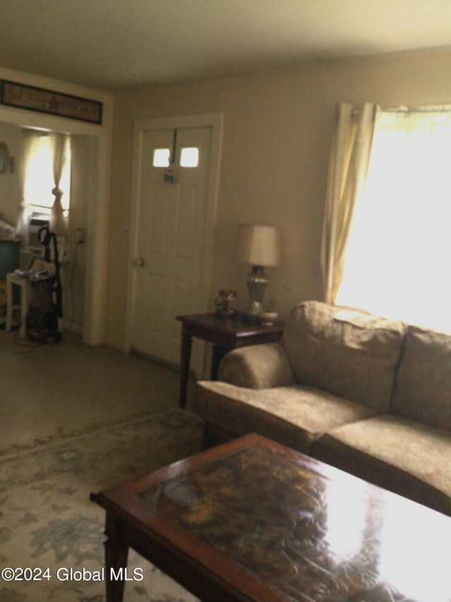 living room featuring a wealth of natural light