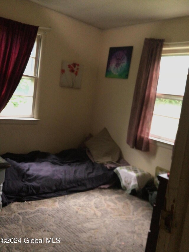 bedroom with multiple windows