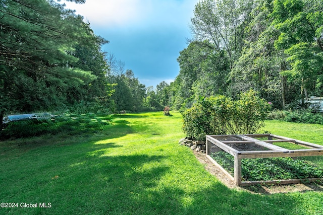 view of yard featuring a garden