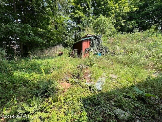 view of yard featuring a storage shed