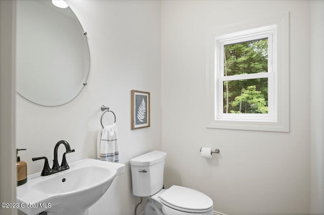 bathroom with sink, plenty of natural light, and toilet