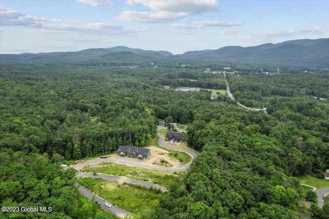 birds eye view of property featuring a mountain view