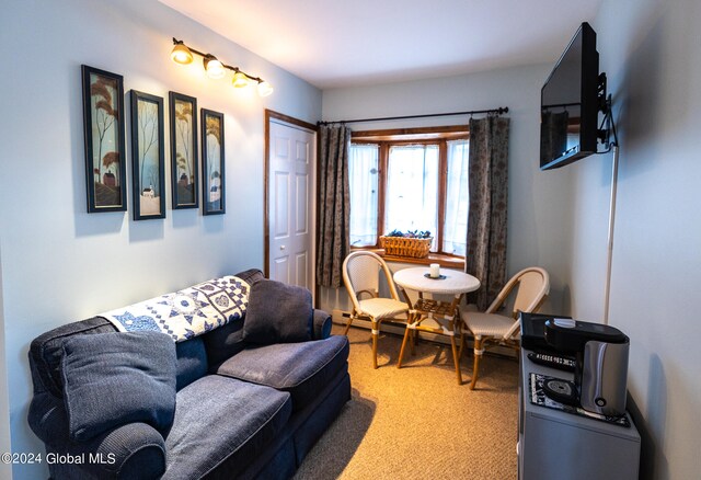 living room featuring carpet floors