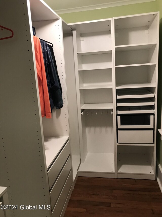 spacious closet with dark wood-type flooring