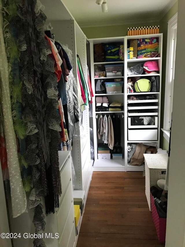 spacious closet with dark wood-type flooring