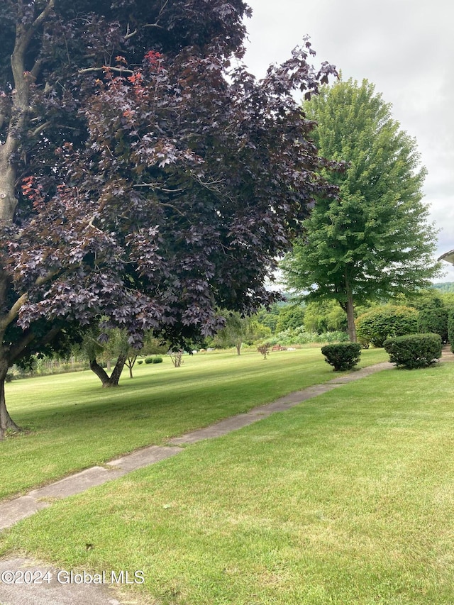 view of property's community featuring a yard