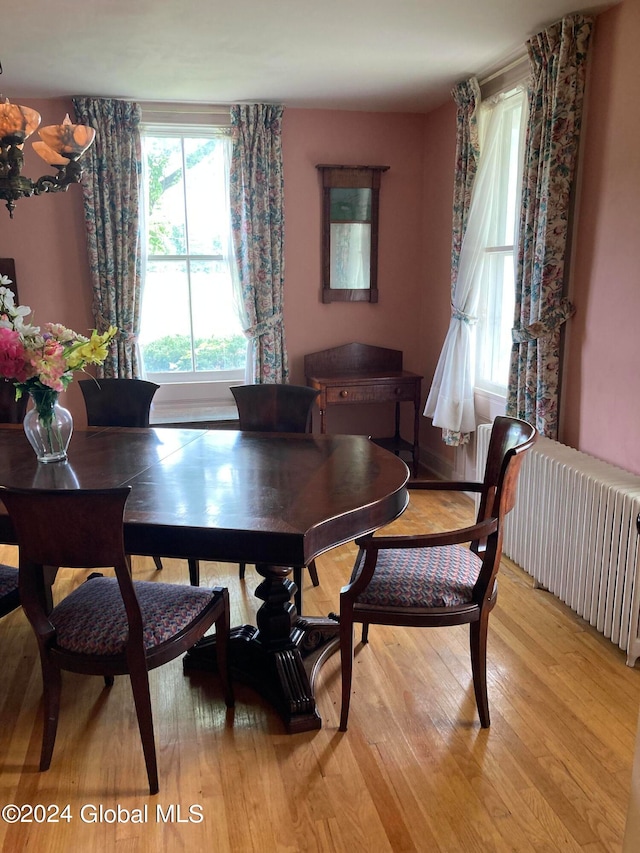 dining room featuring radiator heating unit and light hardwood / wood-style floors