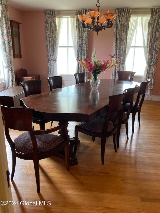 dining area with light hardwood / wood-style flooring and plenty of natural light