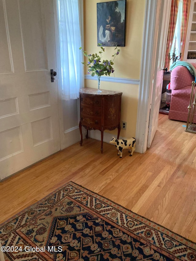 entryway with light hardwood / wood-style floors