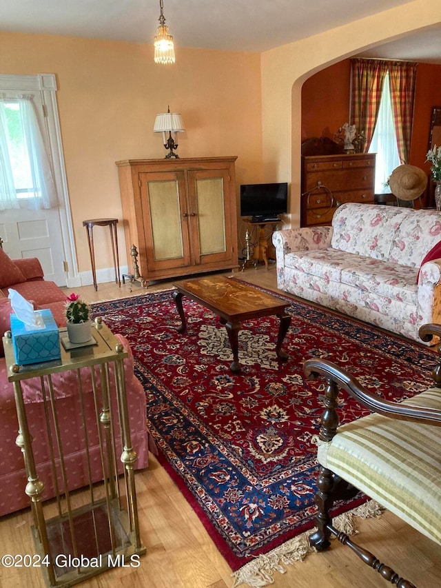 living room with light wood-type flooring