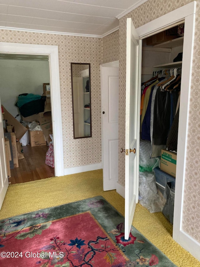 bedroom with carpet, a closet, and crown molding