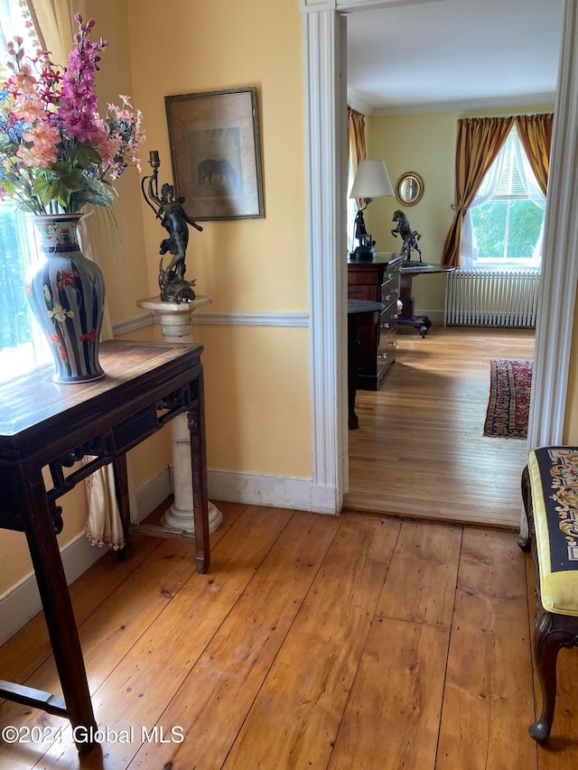 hallway featuring light hardwood / wood-style floors and radiator