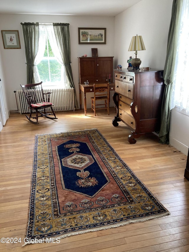 3 Warner Hill Rd, Ticonderoga, NY 12883 - photo 66