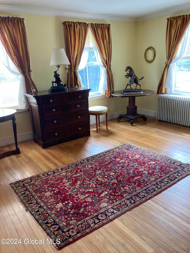 living area with plenty of natural light, light hardwood / wood-style flooring, crown molding, and radiator