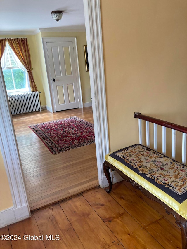 bedroom with light hardwood / wood-style floors