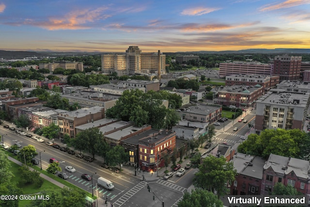 bird's eye view with a view of city