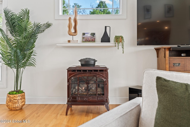 interior details with a wood stove and hardwood / wood-style flooring