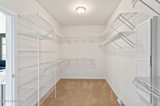 walk in closet with carpet floors