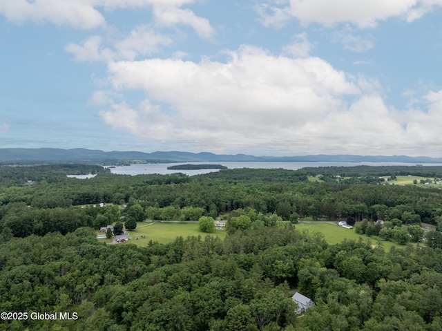 26 N 2nd Ave, Broadalbin, NY 12025 - drone / aerial view of a nearby body of water and a heavily wooded area