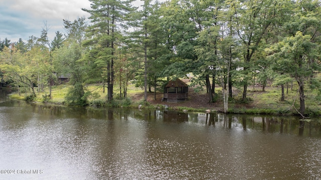 view of water feature