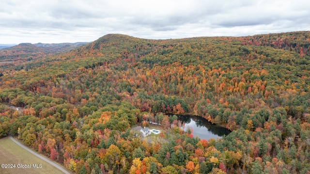 birds eye view of property with a water and mountain view