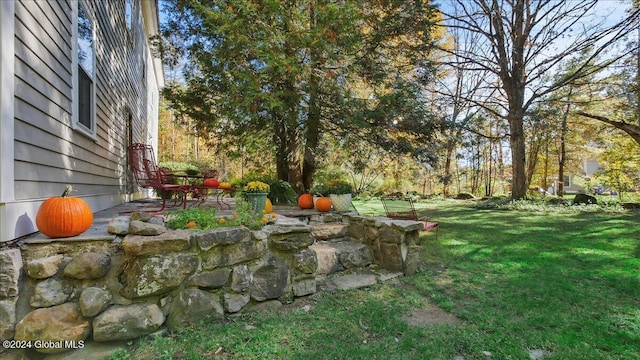 view of yard featuring a patio area