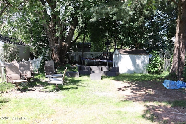 view of yard with a storage unit