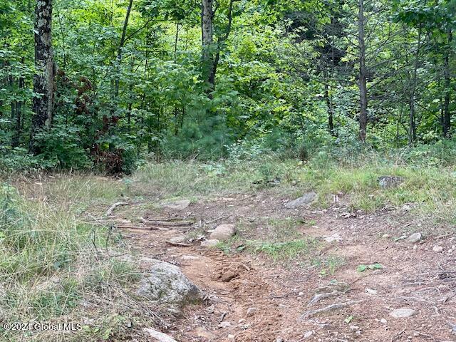 100 Sam Curran Rd, Crown Point, NY 12928 - photo 9