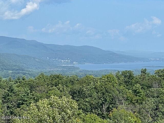 100 Sam Curran Rd, Crown Point, NY 12928 - photo 1