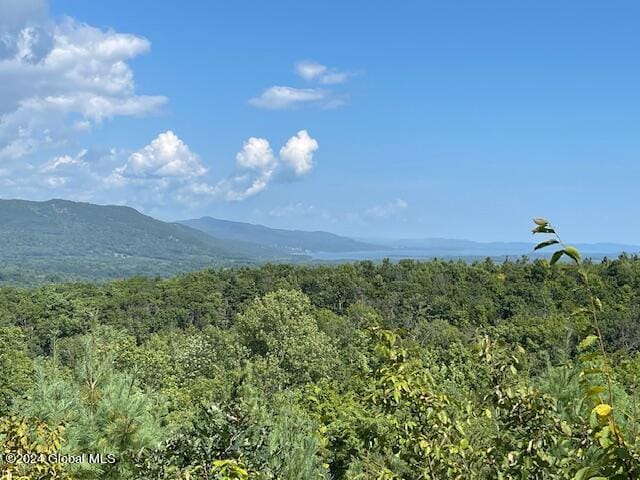 100 Sam Curran Rd, Crown Point, NY 12928 - photo 2