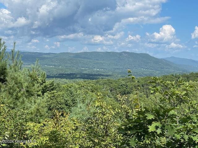 100 Sam Curran Rd, Crown Point, NY 12928 - photo 3