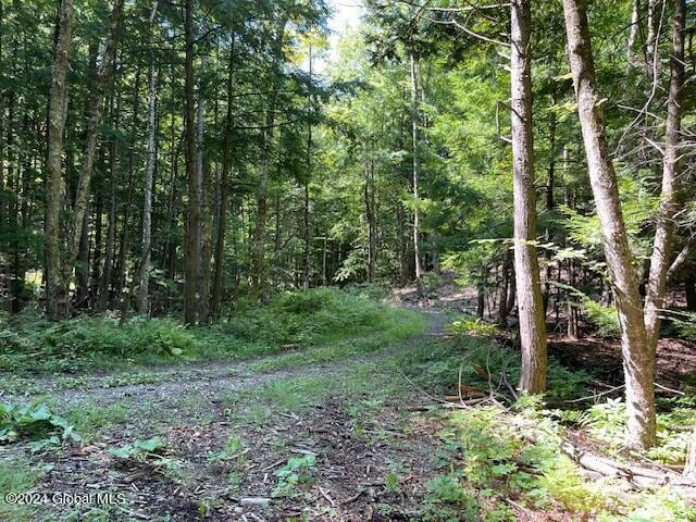100 Sam Curran Rd, Crown Point, NY 12928 - photo 5