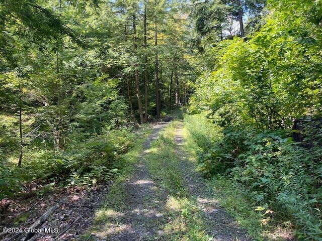 100 Sam Curran Rd, Crown Point, NY 12928 - photo 6