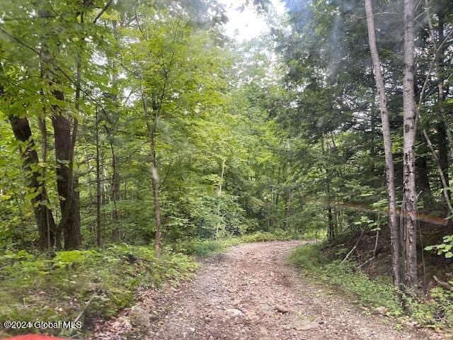 100 Sam Curran Rd, Crown Point, NY 12928 - photo 7