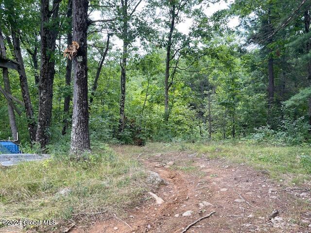100 Sam Curran Rd, Crown Point, NY 12928 - photo 8