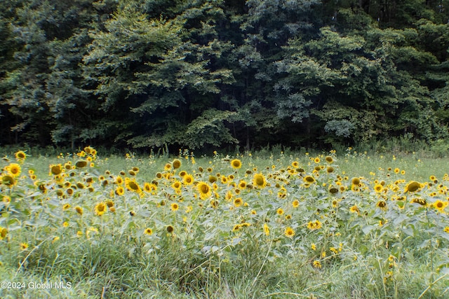 view of nature