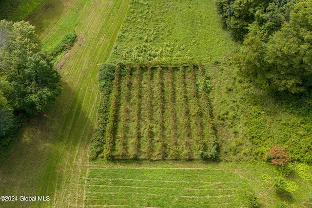 drone / aerial view with a rural view