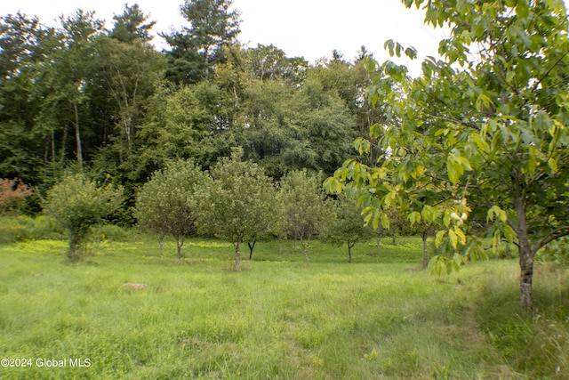 view of landscape