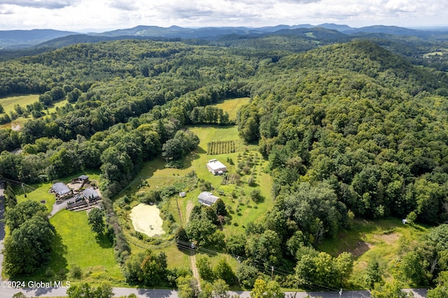 birds eye view of property featuring a mountain view