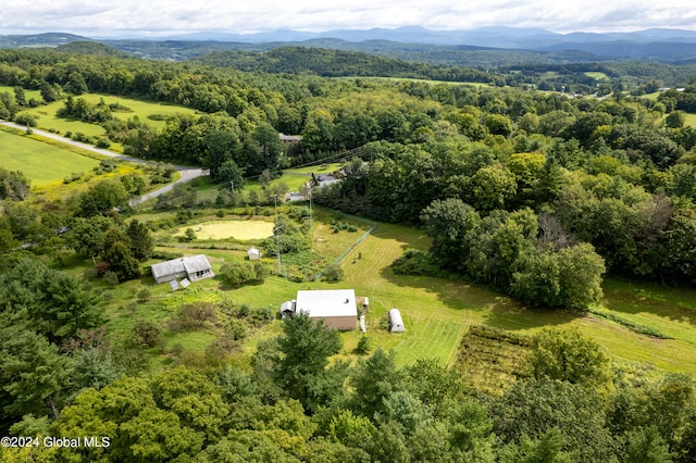 aerial view with a mountain view