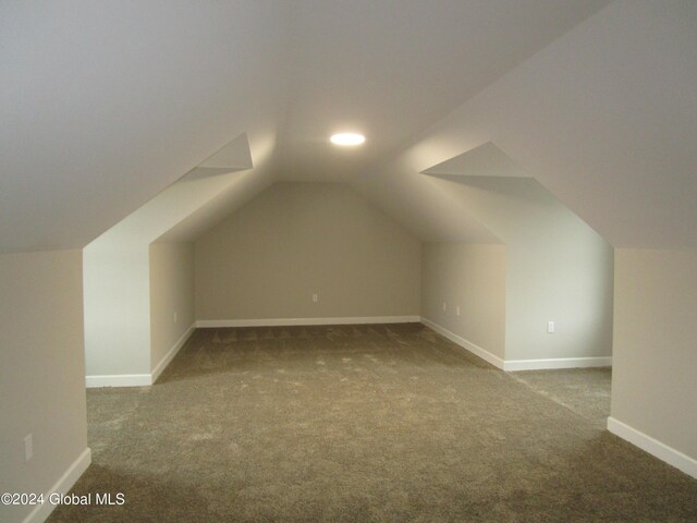 additional living space with carpet flooring and vaulted ceiling