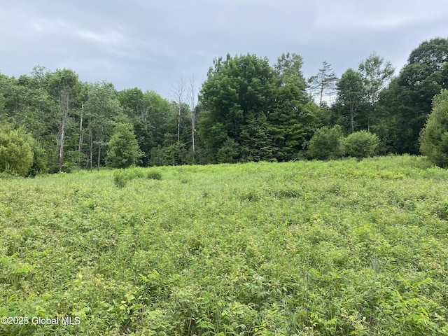 L20.130 Mcmurtry, Crown Point, NY 12928 - photo 6