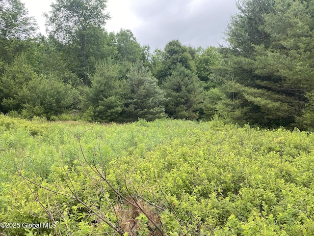 L20.130 Mcmurtry, Crown Point, NY 12928 - photo 7