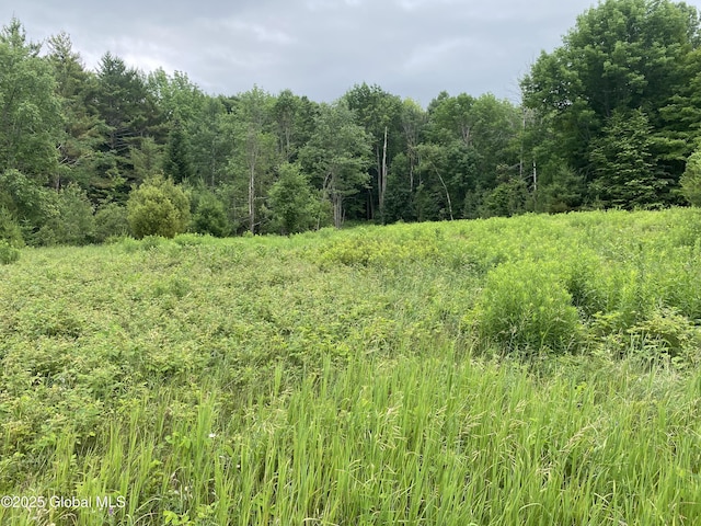 L20.130 Mcmurtry, Crown Point, NY 12928 - photo 8