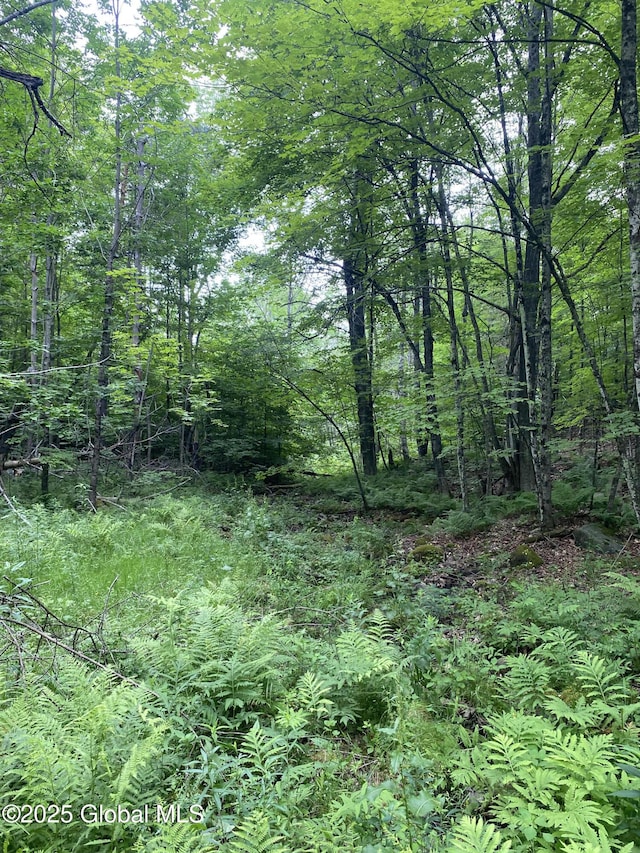 L20.130 Mcmurtry, Crown Point, NY 12928 - photo 9