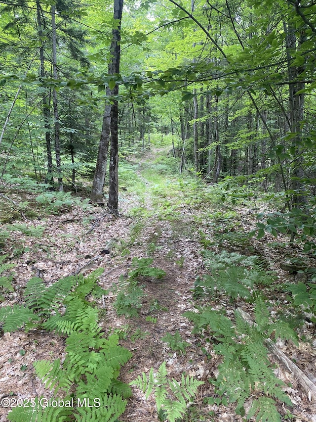 L20.130 Mcmurtry, Crown Point, NY 12928 - photo 5