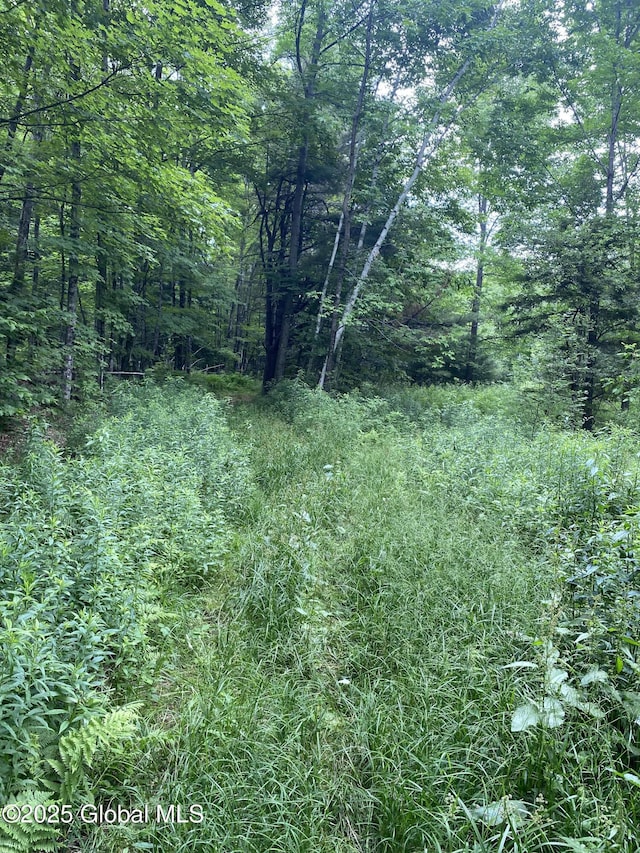 L20.130 Mcmurtry, Crown Point, NY 12928 - photo 10