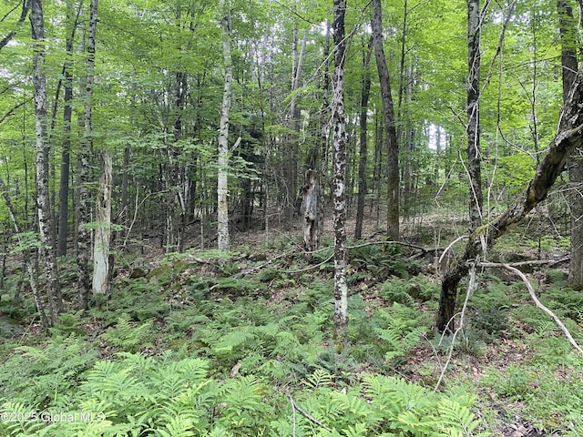 L20.130 Mcmurtry, Crown Point, NY 12928 - photo 11