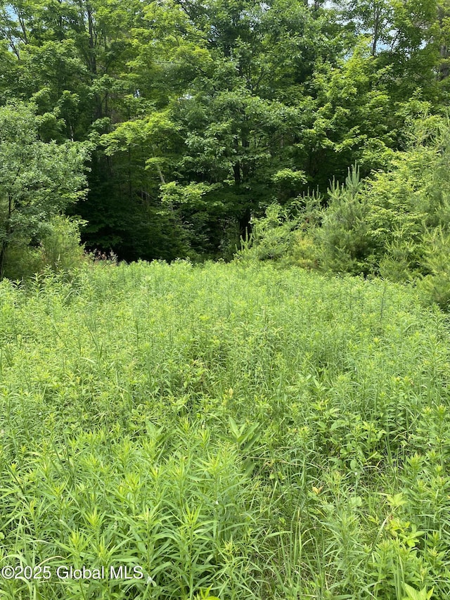 L20.130 Mcmurtry, Crown Point, NY 12928 - photo 12