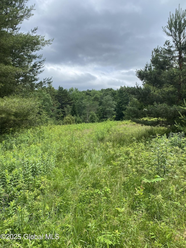 L20.130 Mcmurtry, Crown Point, NY 12928 - photo 13